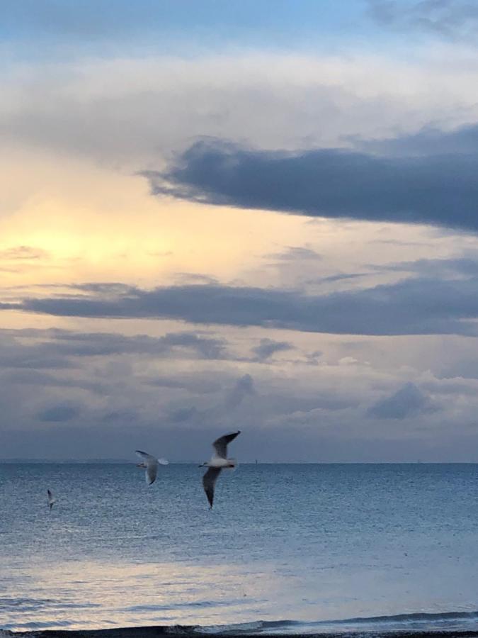 Le Spot, Appartement Spacieux A 30M De La Mer 45M2 Luc-sur-Mer Exteriér fotografie